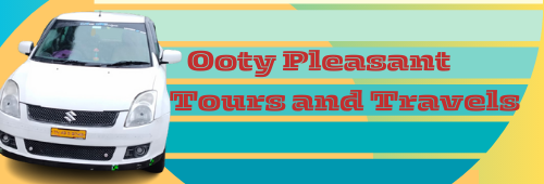 INTR Ooty Tours and Travels